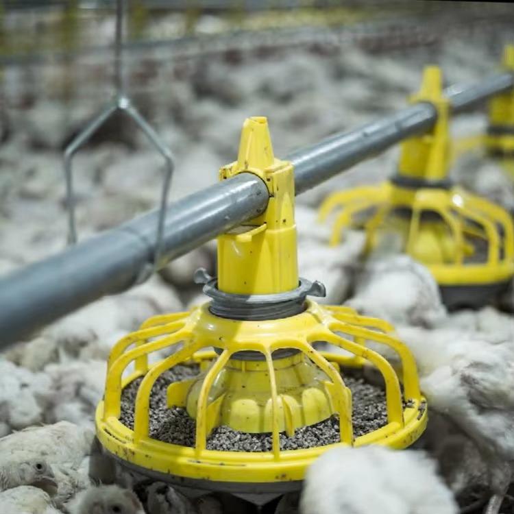 Agriculture Farming Equipments - Chicken and poultry agricultural equipment/broiler feed