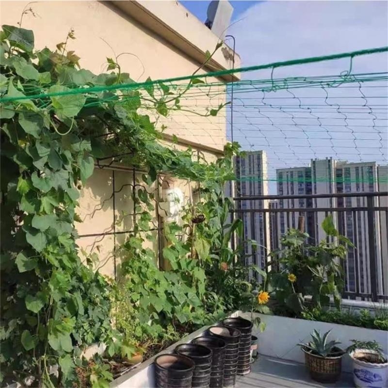 Mesh 9 Strands Agricultural Vi - Agriculture Farming Net 评论和价格