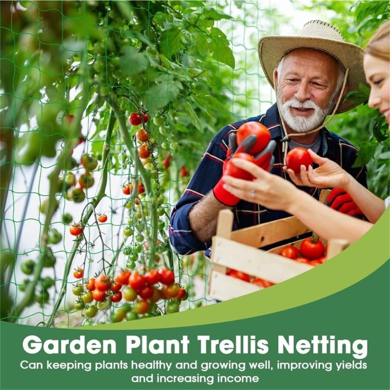 Mesh 9 Strands Agricultural Vi - Agriculture Farming Net 评论和价格