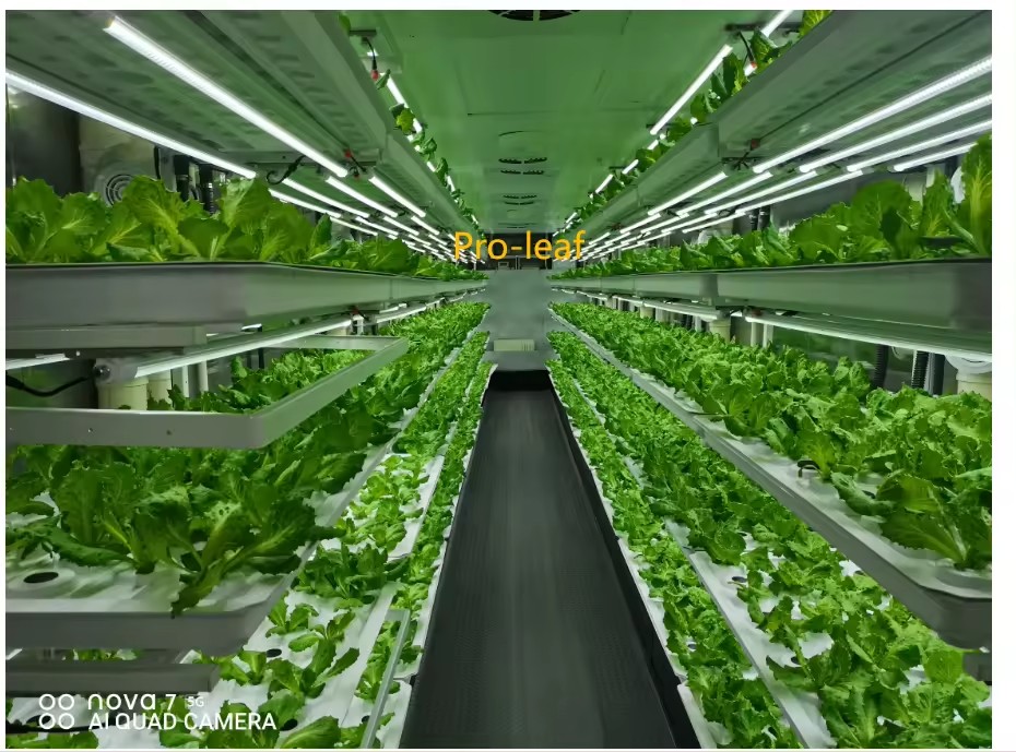 f Greenhouse Agricultural Equi - Agriculture Farming Equipments 评论和价格