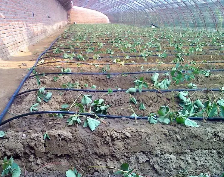 1HA Irrigation Kit Agricultura - Agriculture Farming Kit 评论和价格