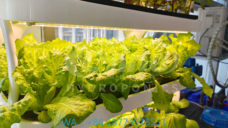c Agriculture Machine to Growi - Agriculture Farming Equipments 评论和价格