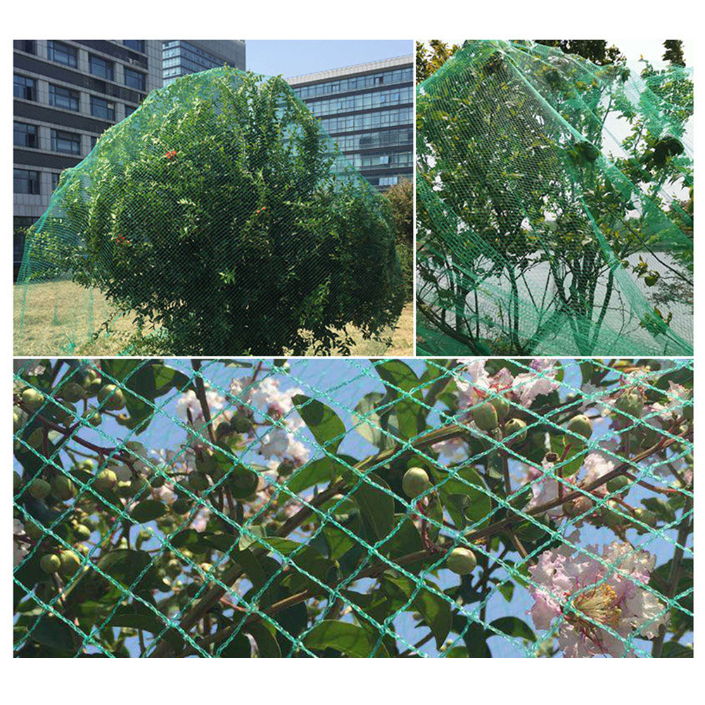 15M Anti Bird Net Green Fruit  - Agriculture Farming Net 评论和价格