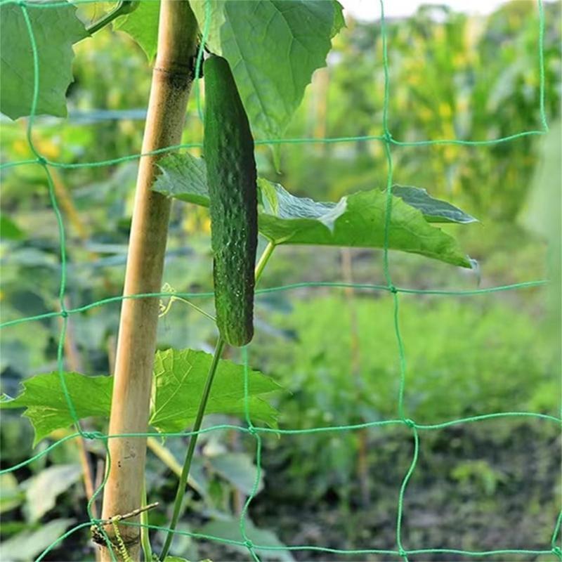 62KD Mesh 9 Strands Agricultur - Agriculture Farming Net 评论和价格